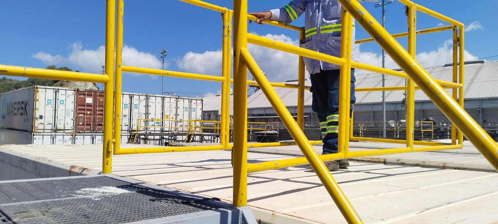 TM Ladder Carrier